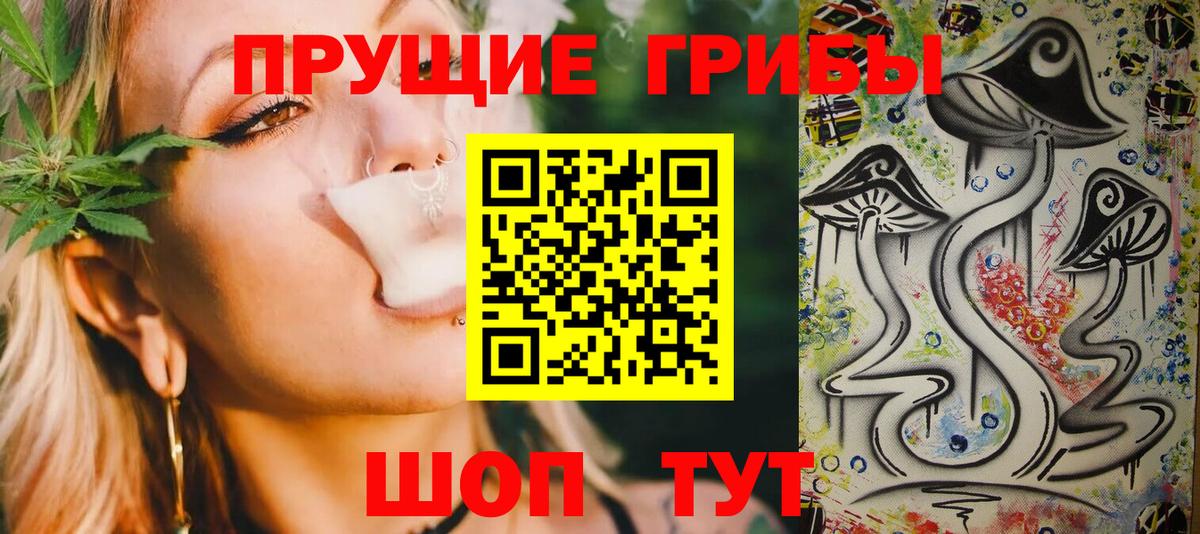 Галлюциногенные грибы Psilocybe  Вход с VPN  где можно купить наркотик  Аргун 